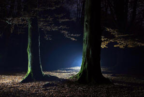 fotokurs kassel göttingen naturfotografie licht gestaltung märchenwald